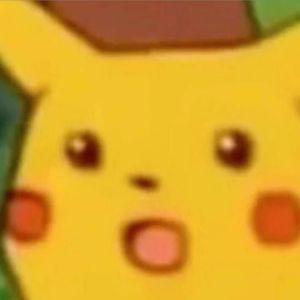 Meet your Posher, Jayden